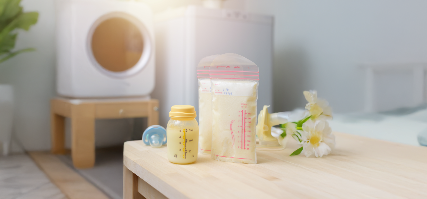 Breast Milk Storage items